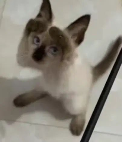 四天三场考试两个大作业让我一命呜呼