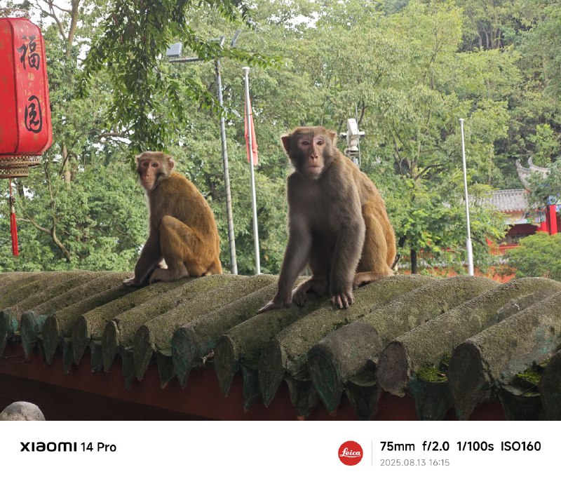 贵州 DAY 1贵州 DAY 1