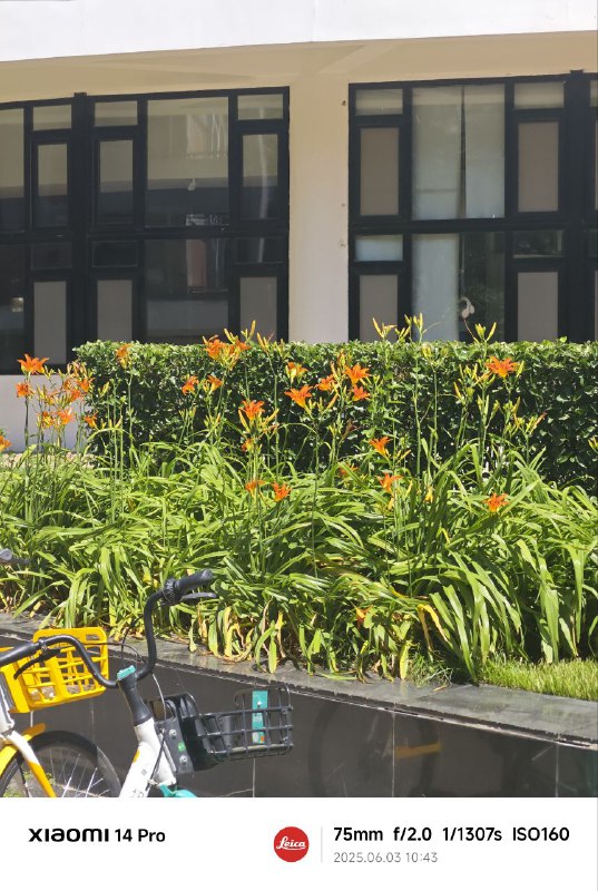 今天的天气很棒哦今天的天气很棒哦