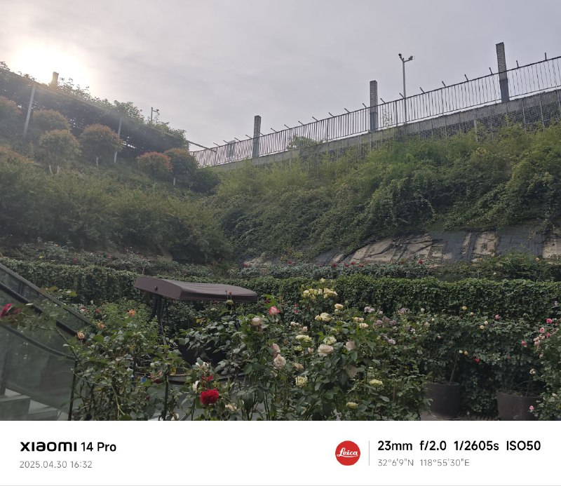 非常好书店 很喜欢这样与花草共处的环境非常好书店 很喜欢这样与花草共处的环境