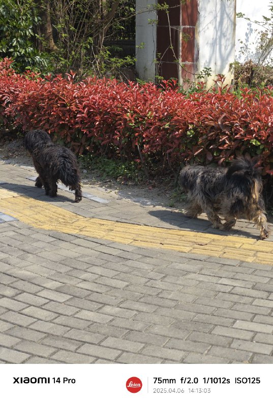 微笑的修勾！微笑的修勾！