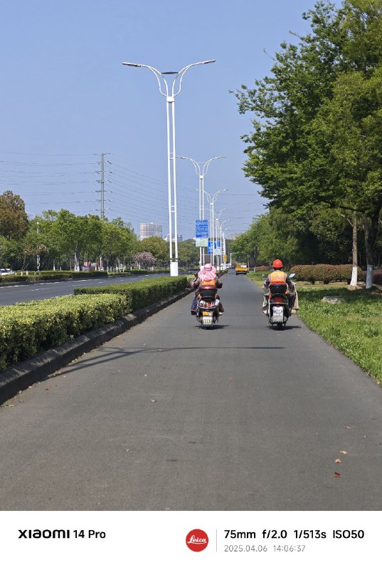 春天真的来了awa春天真的来了awa