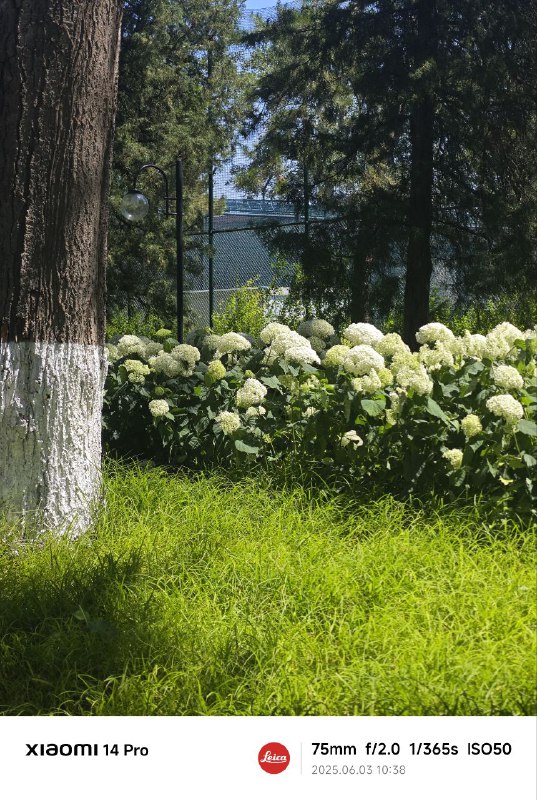 今天的天气很棒哦今天的天气很棒哦