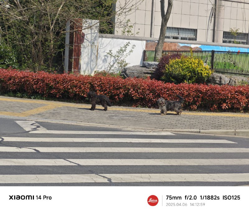 微笑的修勾！微笑的修勾！