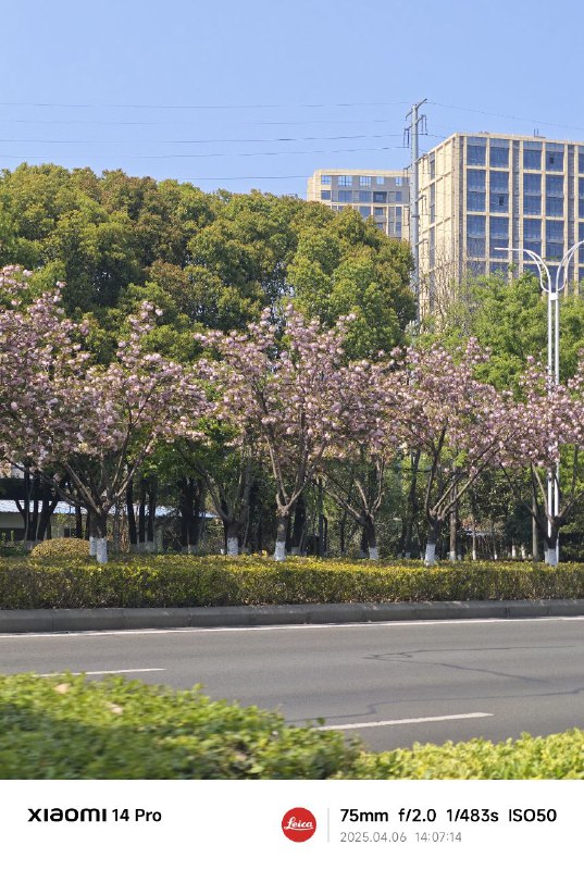 春天真的来了awa春天真的来了awa