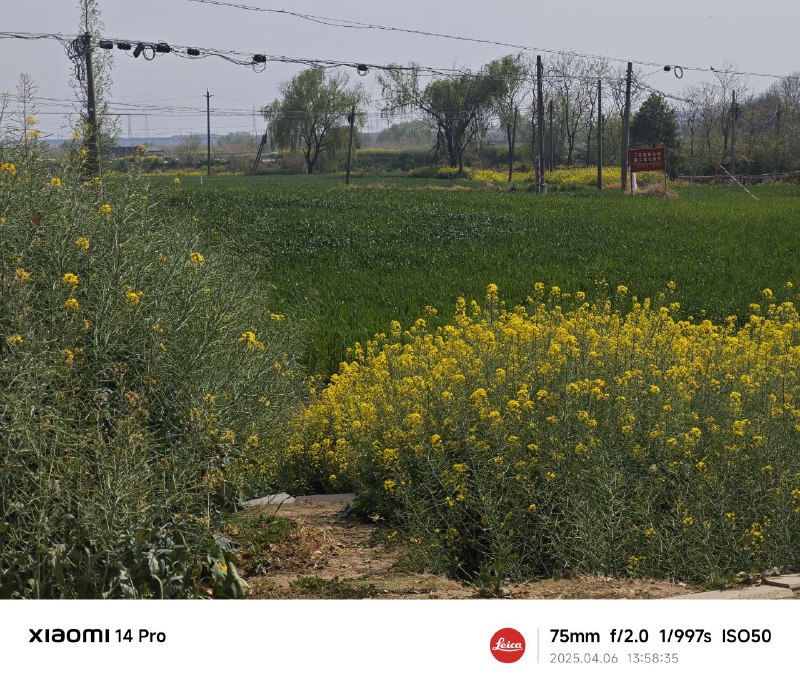 春天真的来了awa春天真的来了awa