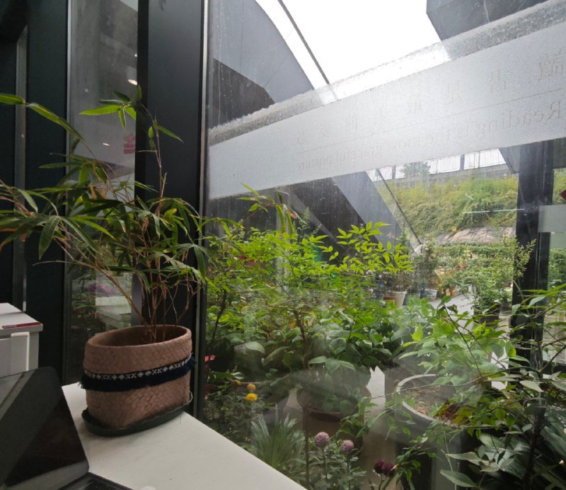 非常好书店 很喜欢这样与花草共处的环境非常好书店 很喜欢这样与花草共处的环境